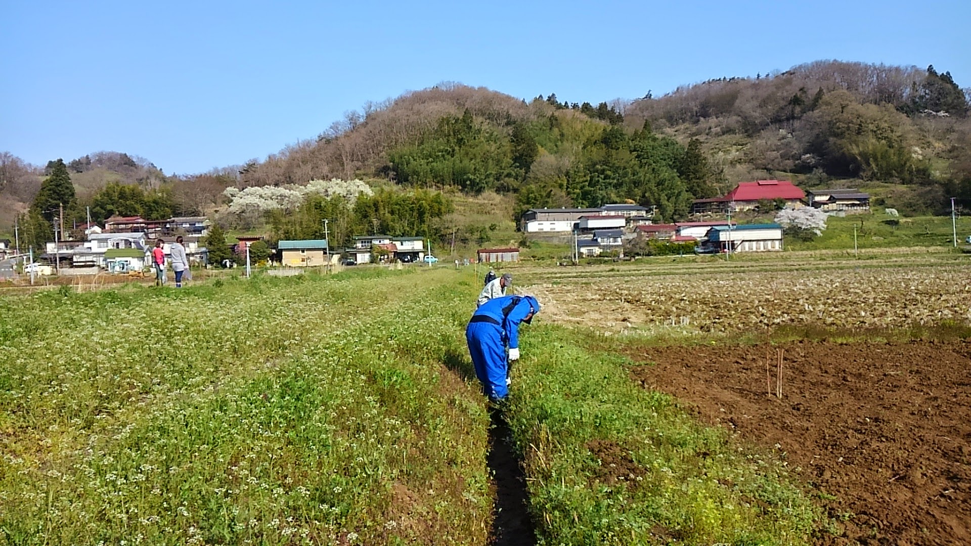 堀払い写真