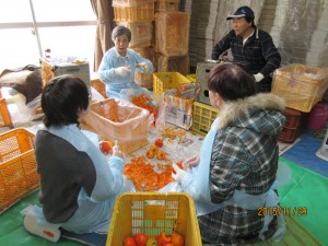 自治会長の指導により柿の皮むきを体験している参加者