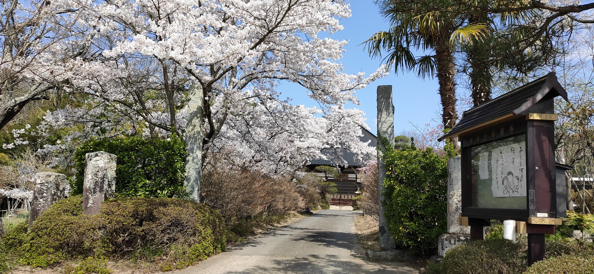 安禅寺