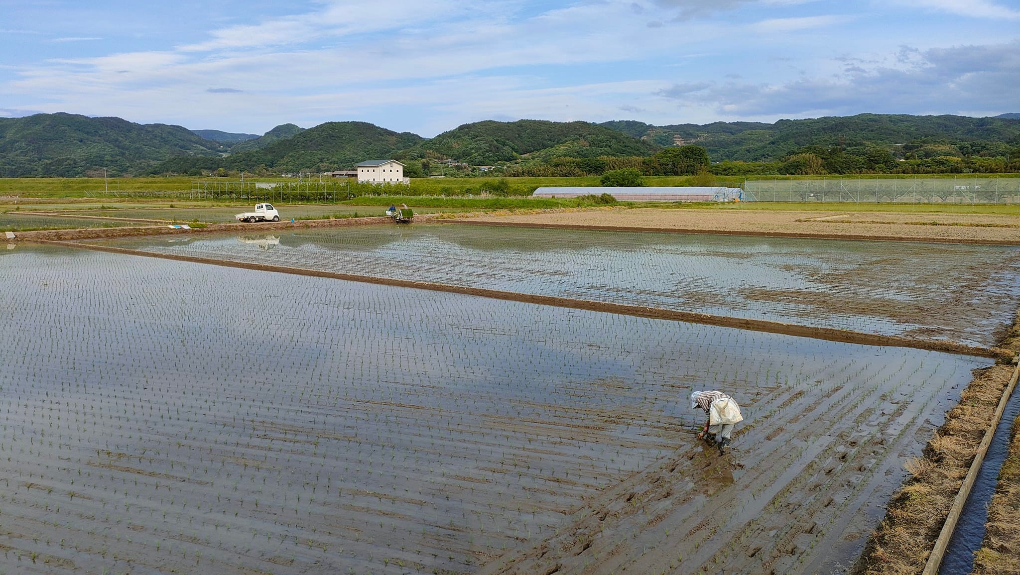 五十沢の田植え風景