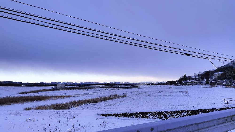 令和5年1月26日の朝、雪景色